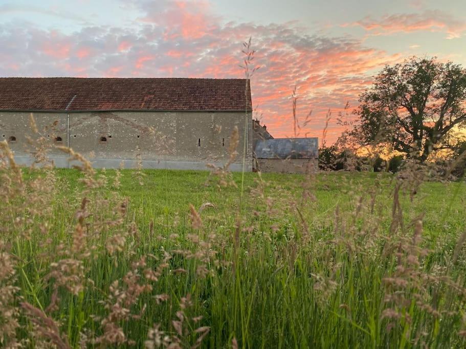 Villenouan Domaine Et Gites Lailly-en-Val Eksteriør billede